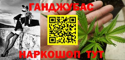 сатива Будённовск