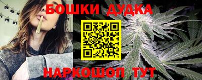 PSILOCYBIN Свободный