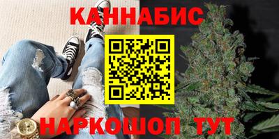 сатива Будённовск