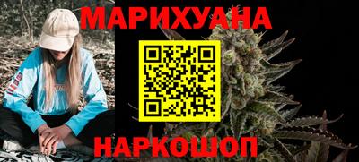 сатива Будённовск